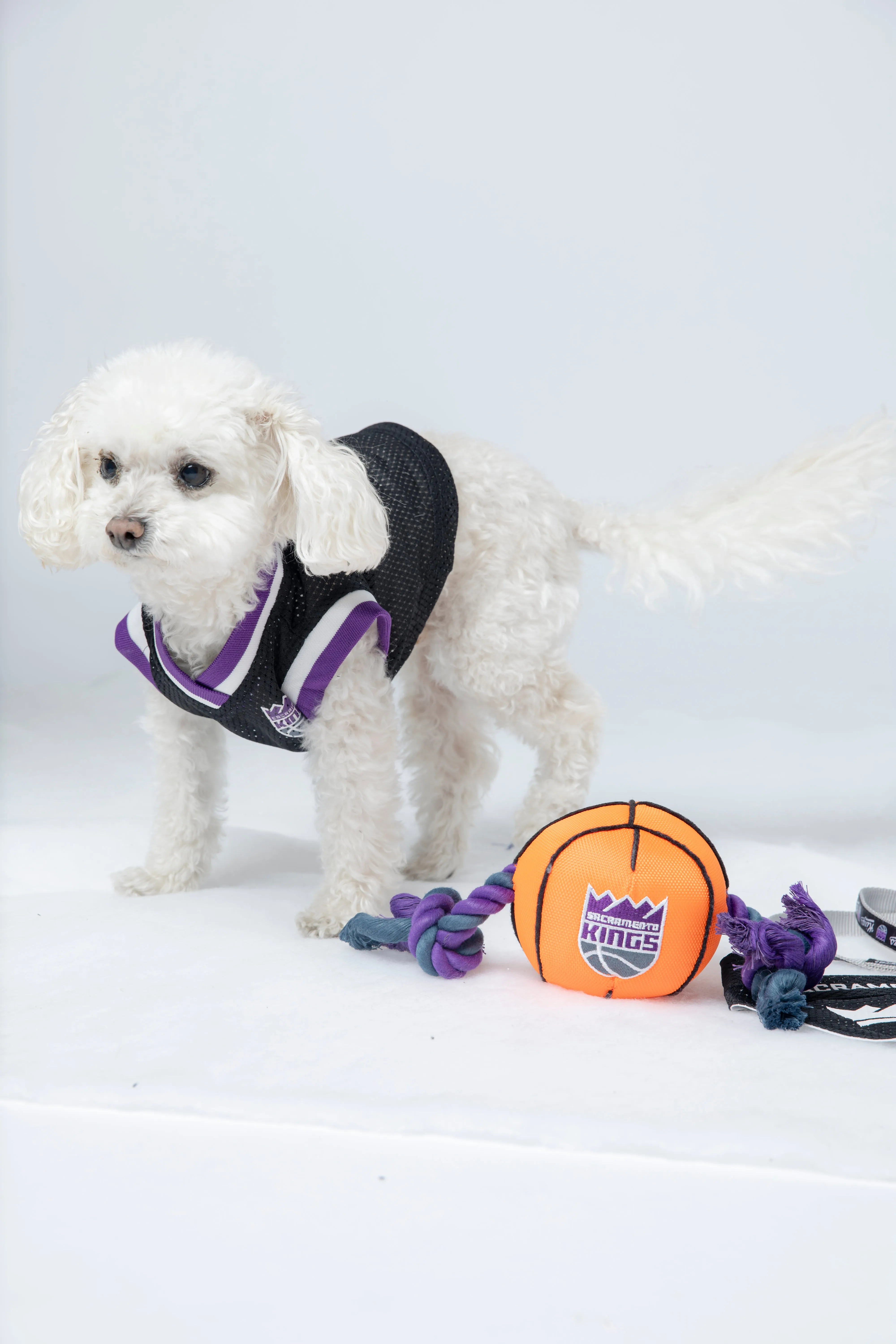 Nylon Basketball Pet Toy